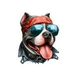 Chien Staff Lunettes Impression DTF transfert Thermocollant flex textile