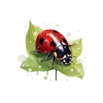 Coccinelle Feuille Gouttes Transfert Thermocollant Flex Textile