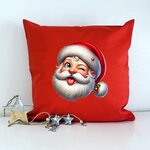 Tête Père Noël Clin doeil2