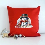 Bonhomme Neige Lumières2