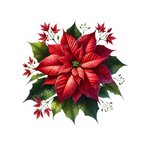 fleur poinsettia transfert thermocollant flex textile