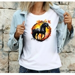 Cheval Cercle Automne1