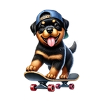 chiot rottweiler casquette transfert thermocollant impression dtf flex textile
