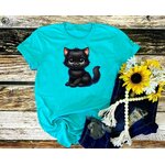Chat Noir Assis1