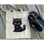 Chat Noir Assis2