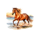 cheval eau transfert thermocollant impression dtf flex textile