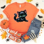 Chat Noir Allongé1