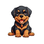 chiot rottweiler cute transfert thermocollant impression dtf flex textile