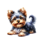 chiot york allongé transfert thermocollant impression dtf flex textile