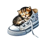 chaton dort chaussure transfert thermocollant impression dtf flex textile