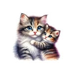 chat chaton câlin transfert thermocollant impression dtf flex textile