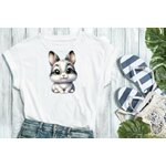 Lapin Gris1