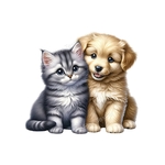 chat chien assis transfert thermocollant impression dtf flex textile