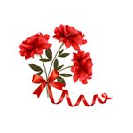 bouquet roses transfert thermocollant impression dtf flex textile