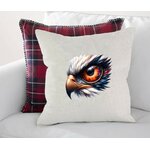 Regard Aigle Oeil2