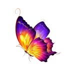 papillon coloré transfert thermocollant impression dtf flex textile