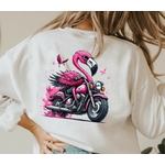 Flamant Moto1