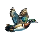 canard vol transfert thermocollant impression dtf flex textile