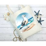 Mouette Plage2
