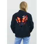 Papillon Plumes1
