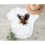 Aigle Royal1
