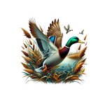canard covert transfert thermocollant impression dtf felx textile