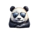 Panda lunettes pose transfert thermocollant impression DTF flex textile