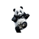 Panda danse transfert thermocollant impression DTF flex textile