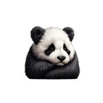 Panda bras croisés transfert thermocollant impression DTF flex textile