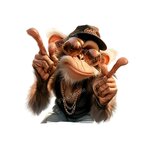 Monkey Casquette Lunettes Transfert thermocollant impression dtf flex textile