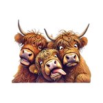 vaches grimaces humour transfert thermocollant impression dtf flex textile
