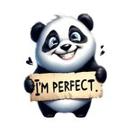 panda perfect transfert thermocollant impression dtf flex textile