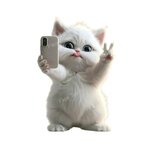 Chat Blanc Selfie transfert thermocollant impression dtf flex textile