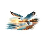 Mouettes Volent Plage transfert thermocollant impression dtf flex textile