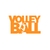 volley ball motif thermocollant
