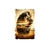 Lion savane impression dtf flex textile