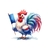 coq drapeau france impression dtf flex textile