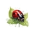 Coccinelle Feuille Gouttes Transfert Thermocollant Flex Textile