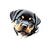 Tête bébé rottweiler transfert thermocollant impression dtf flex textile