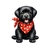 chiot noir foulard transfert thermocollant impression dtf flex textile