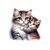 chat chaton câlin transfert thermocollant impression dtf flex textile