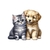 chat chien assis transfert thermocollant impression dtf flex textile