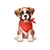 chiot boxer bandana