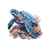 tortue mer coraux transfert thermocollant impression dtf flex textile