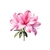 trois jolies fleurs transfert thermocollant impression dtf flex textile