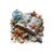 livre plage coquillages transfert thermocollant impression dtf flex textile