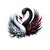 cygnes blanc et noir transfert thermocollant impression dtf flex textile