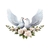 colombes fleurs transfert therlocollant impression dtf flex textile
