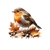 oiseau rouge gorge transfert thermocollant impression dtf flex textile
