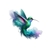 colibri fumée transfert thermocollant impression dtf flex textile